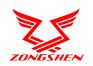 ZS logo